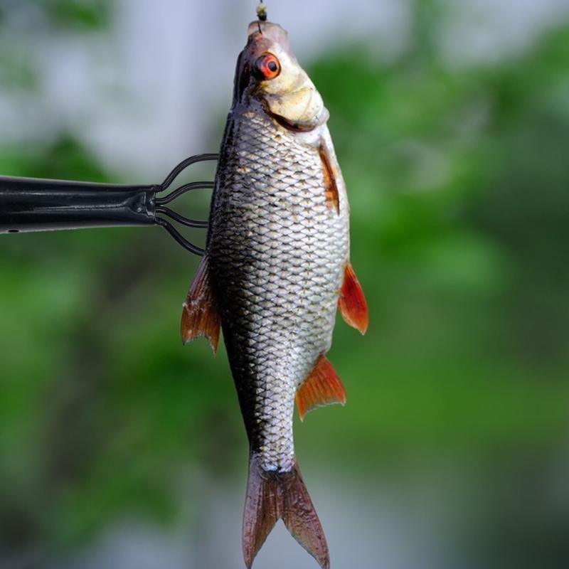 Fishing Rod Tip Replacement - R6FE Рыболовные вилки Пружинная сталь Рыболовные